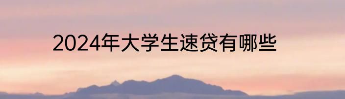 2024年大学生速贷有哪些