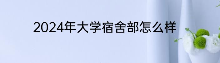 2024年大学宿舍部怎么样