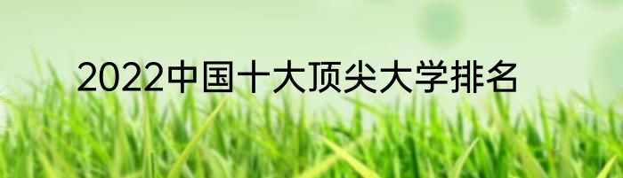 2022中国十大顶尖大学排名
