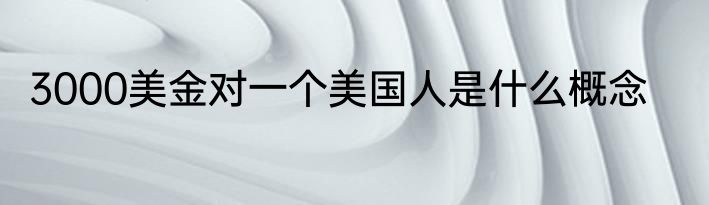 3000美金对一个美国人是什么概念