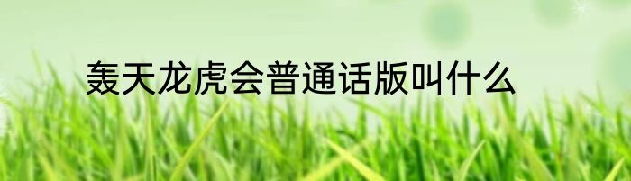 轰天龙虎会普通话版叫什么