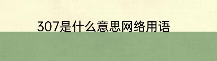 307是什么意思网络用语