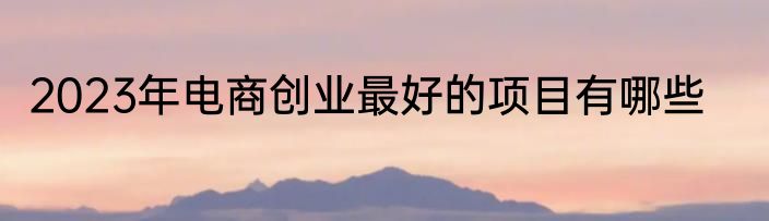 2023年电商创业最好的项目有哪些