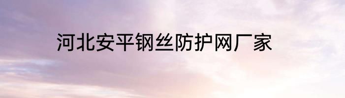 河北安平钢丝防护网厂家