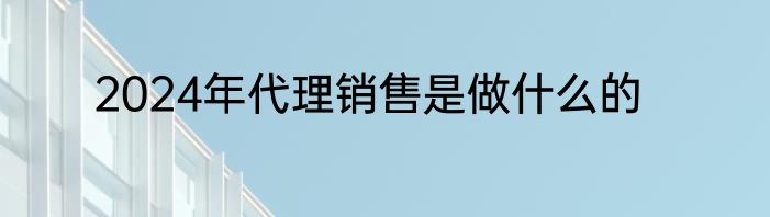2024年代理销售是做什么的
