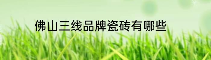 佛山三线品牌瓷砖有哪些