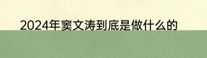 2024年窦文涛到底是做什么的