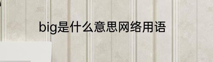 big是什么意思网络用语