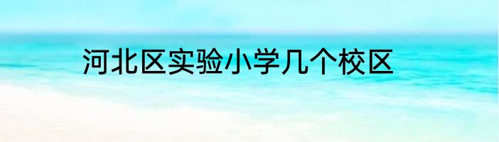 河北区实验小学几个校区