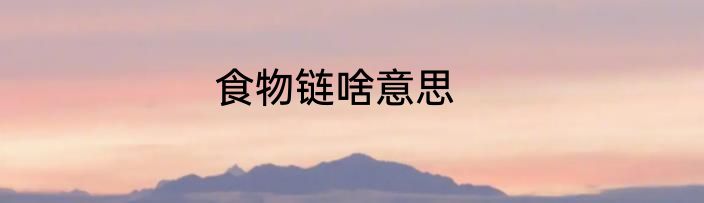 食物链啥意思