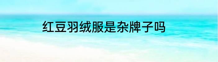 红豆羽绒服是杂牌子吗