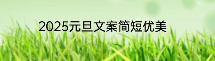 2025元旦文案简短优美
