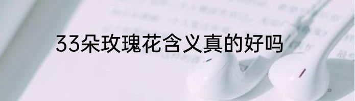 33朵玫瑰花含义真的好吗