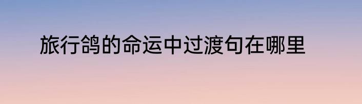 旅行鸽的命运中过渡句在哪里
