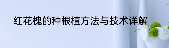 红花槐的种根植方法与技术详解