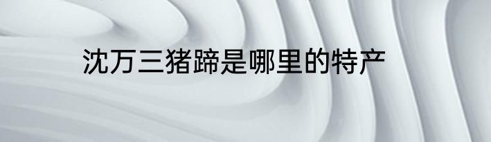 沈万三猪蹄是哪里的特产