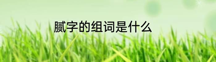 腻字的组词是什么