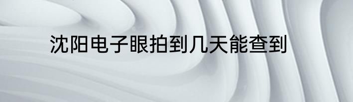 沈阳电子眼拍到几天能查到