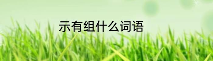 示有组什么词语