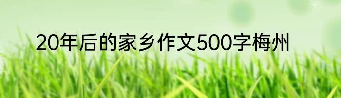 20年后的家乡作文500字梅州