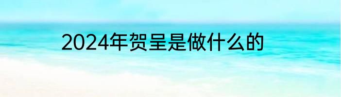 2024年贺呈是做什么的