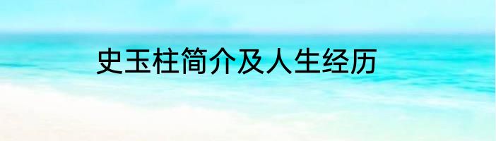 史玉柱简介及人生经历