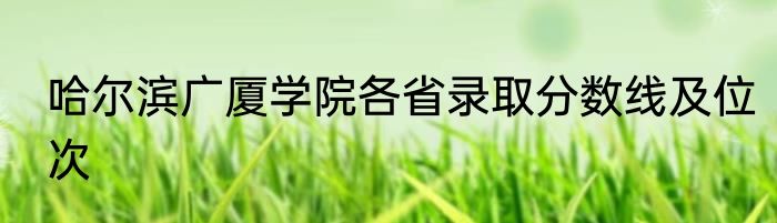 哈尔滨广厦学院各省录取分数线及位次