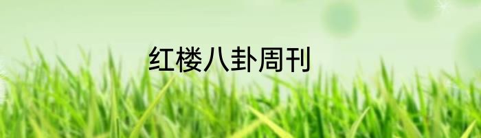 红楼八卦周刊