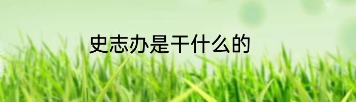 史志办是干什么的