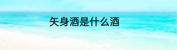 矢身酒是什么酒