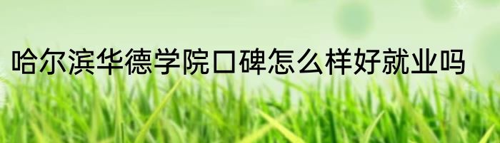 哈尔滨华德学院口碑怎么样好就业吗