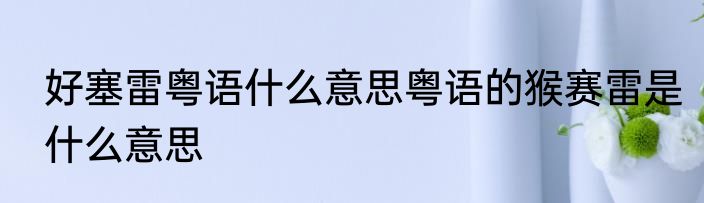 好塞雷粤语什么意思粤语的猴赛雷是什么意思