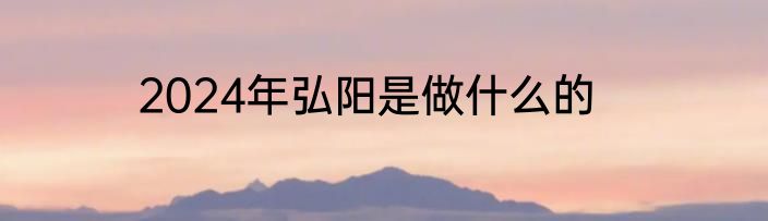2024年弘阳是做什么的
