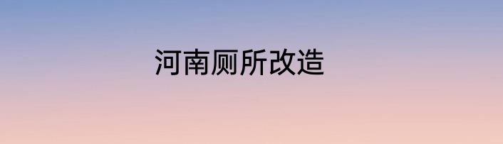 河南厕所改造