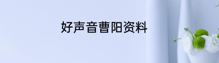 好声音曹阳资料