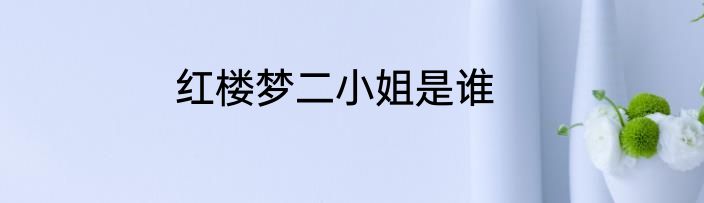 红楼梦二小姐是谁