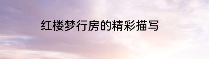 红楼梦行房的精彩描写