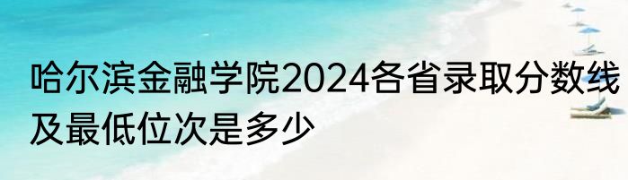 哈尔滨金融学院2024各省录取分数线及最低位次是多少