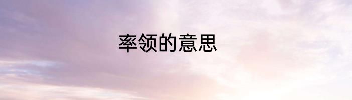 率领的意思
