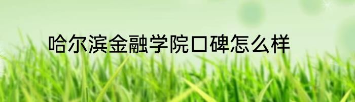 哈尔滨金融学院口碑怎么样