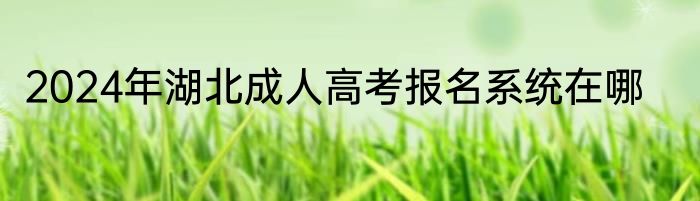2024年湖北成人高考报名系统在哪