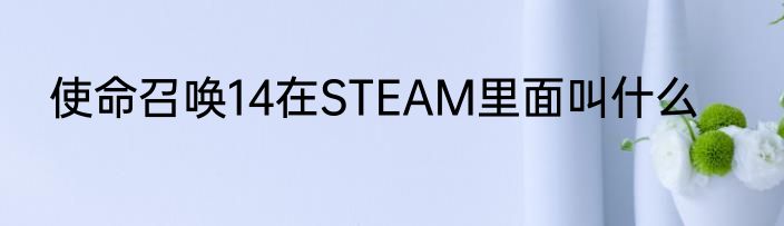 使命召唤14在STEAM里面叫什么