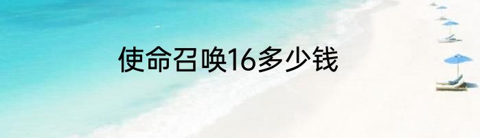使命召唤16多少钱