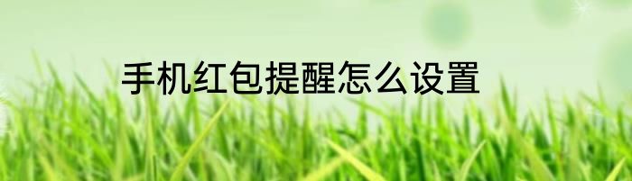 手机红包提醒怎么设置