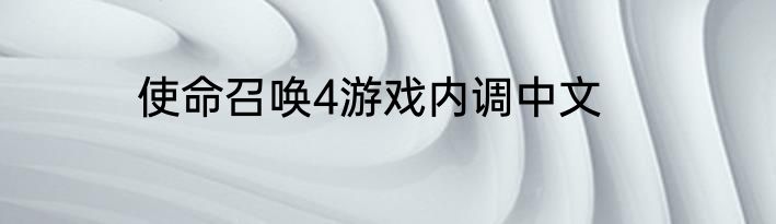 使命召唤4游戏内调中文