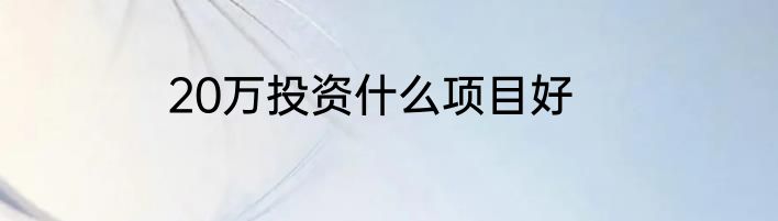 20万投资什么项目好