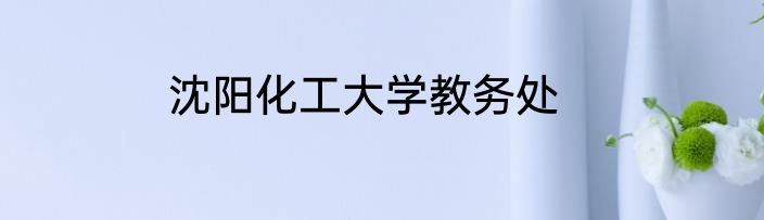 沈阳化工大学教务处