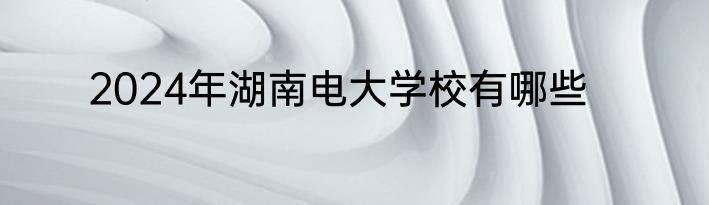 2024年湖南电大学校有哪些