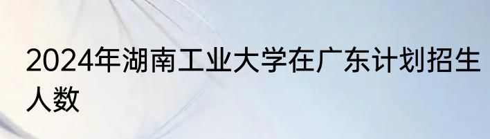 2024年湖南工业大学在广东计划招生人数