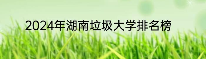 2024年湖南垃圾大学排名榜